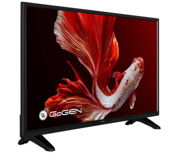 Gogen TV GOGEN 24" TVH24P452T HD - 1385187 - zdjęcie 2